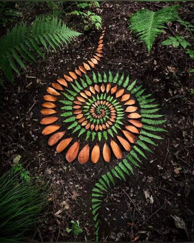 mandala nature