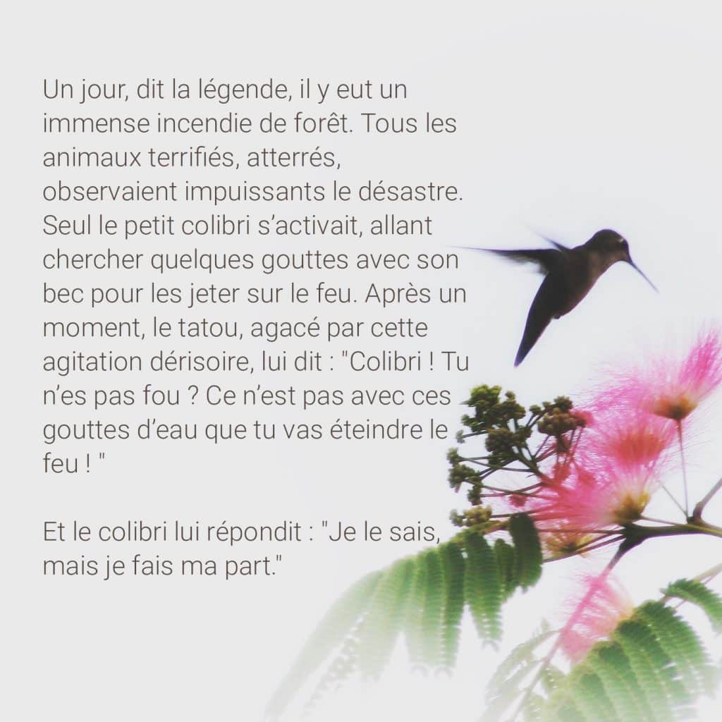 légende du colibri faire sa part